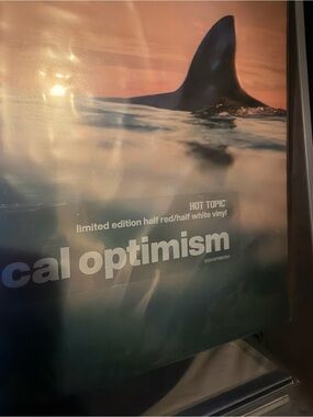 Radical Optimism Hot Topic Super Limited HTF Red/White Split Vinyl